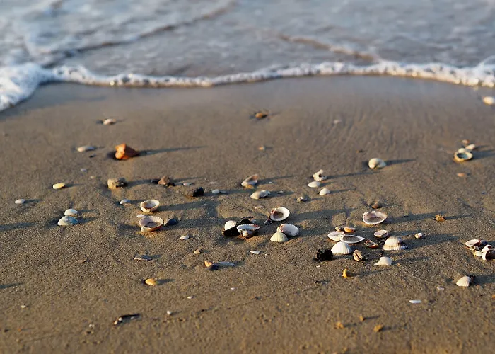 Appartamento Bright With Swimming Pool